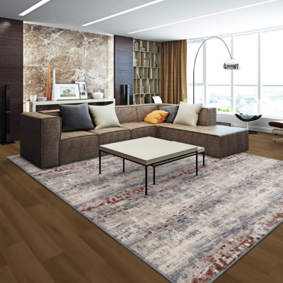 area rug in living room