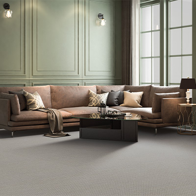 gray carpet in living room with ambient lighting