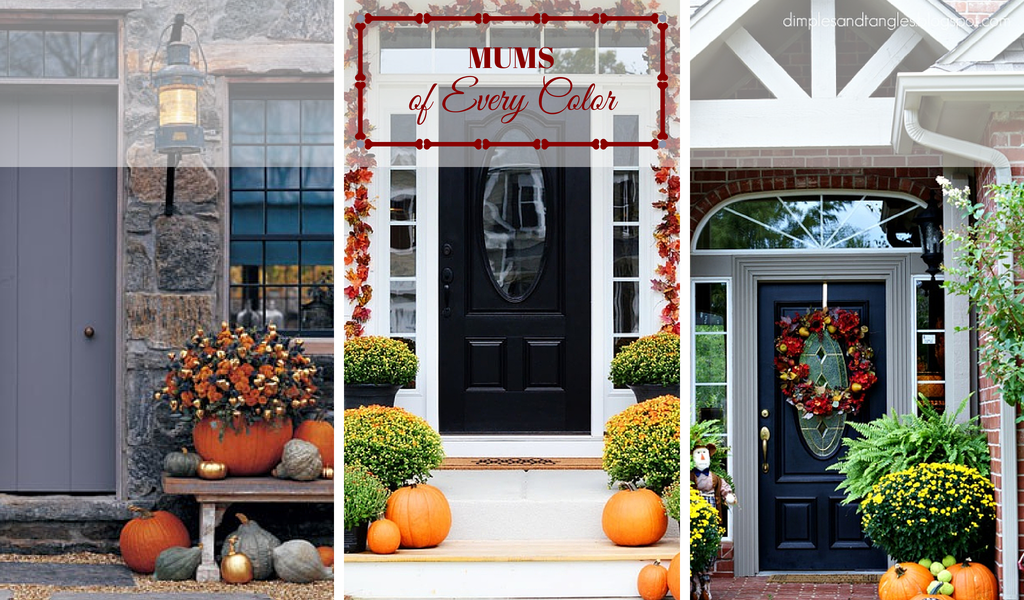 Front Door Ideas for Fall - Mums Front Door Ideas for Fall - Mums